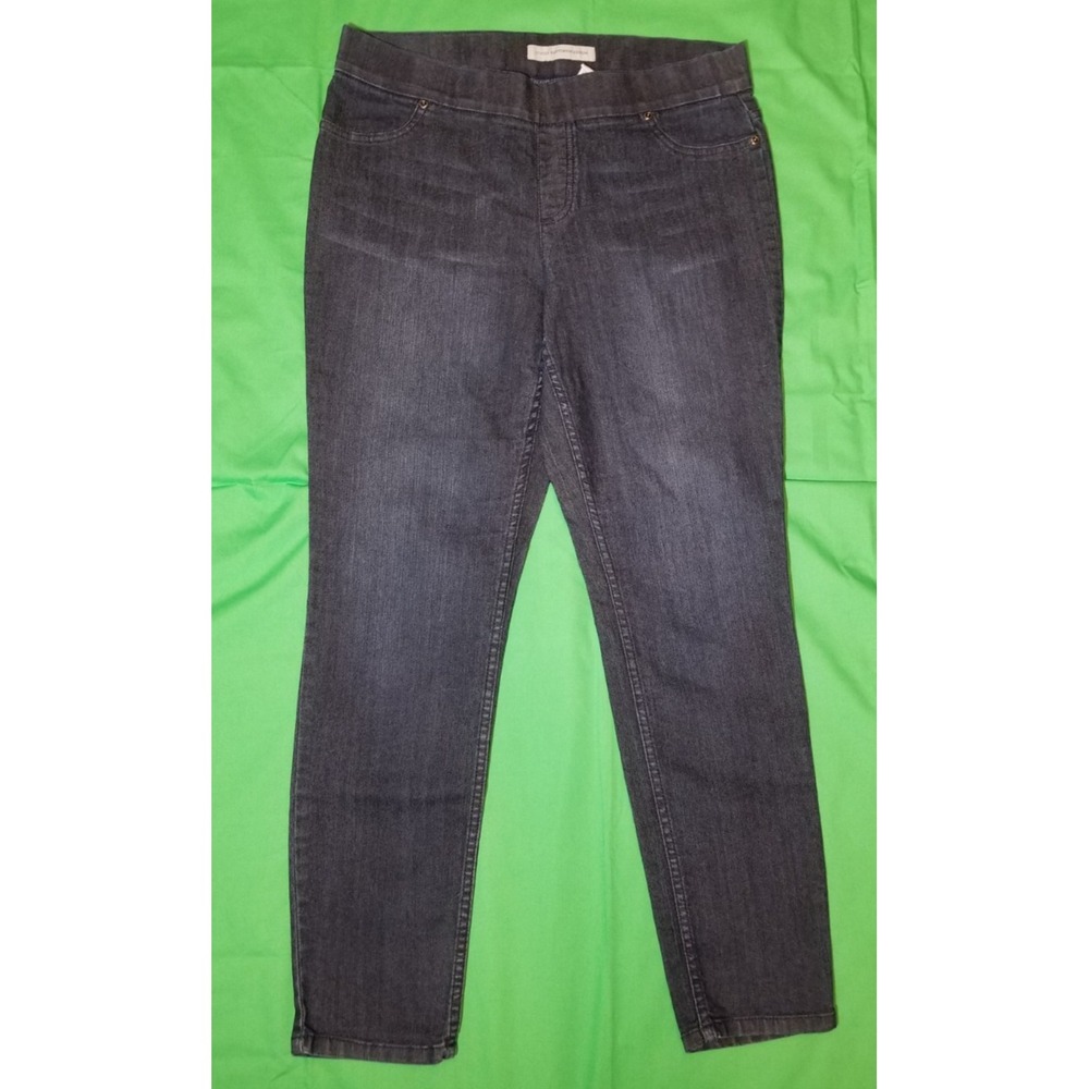 Chico's Platinum Denim Skinny Jegging Womens Size 2 (Sz 12) Retro Boho Coastal